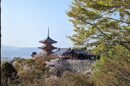 8 Hour Private Tour of Kyoto