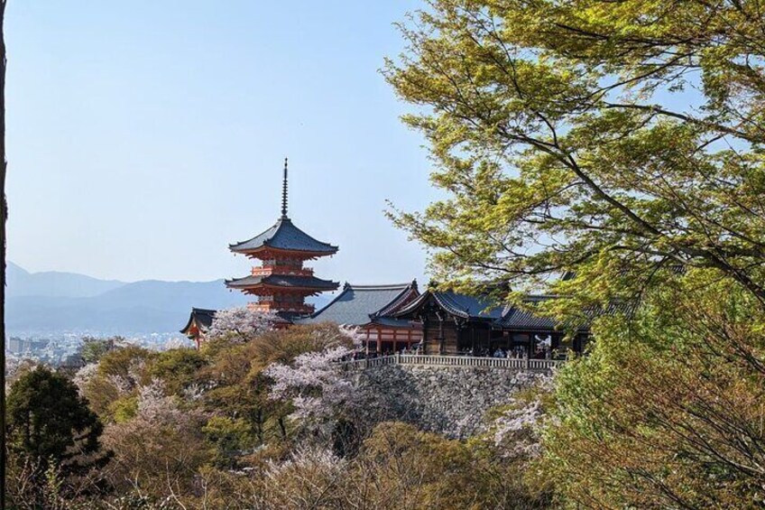 8 Hour Private Tour of Kyoto