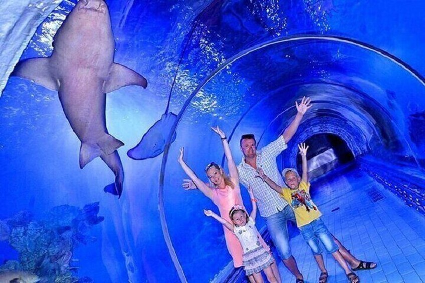 Explore the Wonders of the Grand Aquarium Adventure - Hurghada