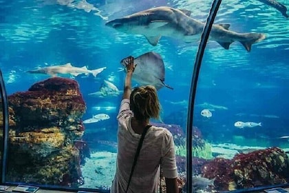 Explore the Wonders of the Grand Aquarium Adventure - Hurghada