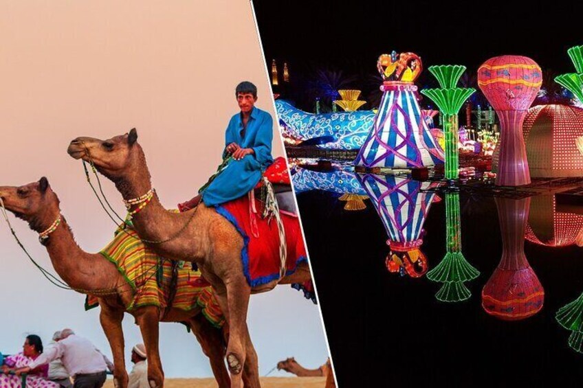  Combo : Dubai Desert Safari & Glow Garden Admission Tickets 