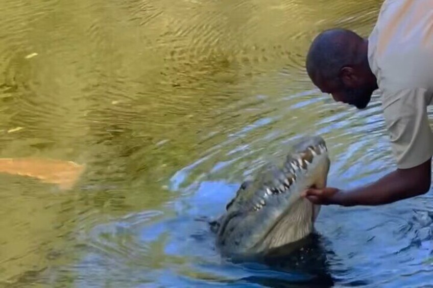 Private Black River Safari Tour from Montego Bay Resorts