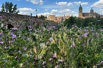 Route through the Medieval Jewels of Avila and Salamanca