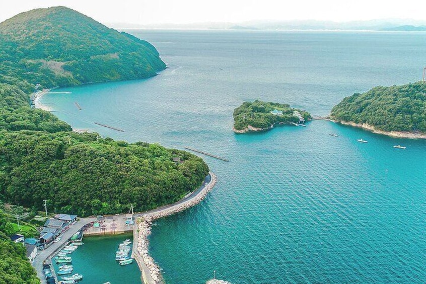 We recommend a day trip to Shodoshima, an island in the Seto Inland Sea.