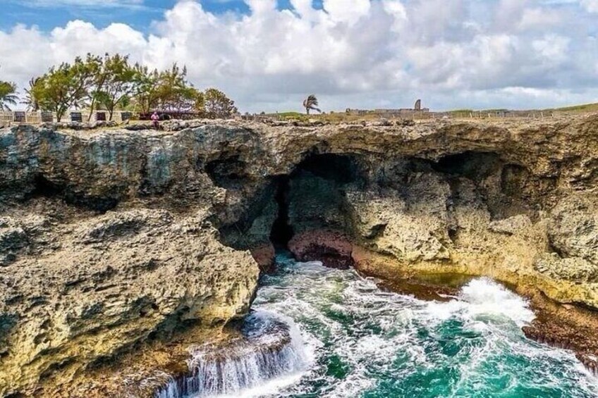 Lunch At Animal Flower Cave with Scenic Drive of Barbados