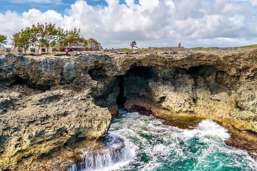 Lunch At Animal Flower Cave with Scenic Drive of Barbados