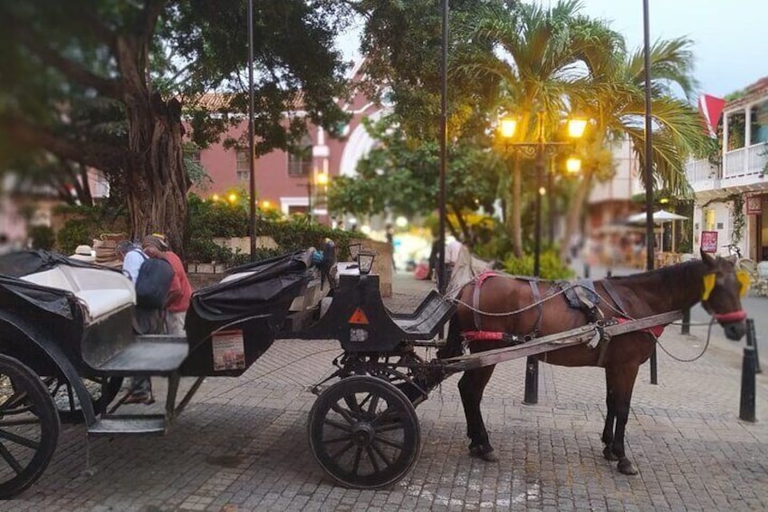 Colonial Carriage with Private Horse through the Ancient City 