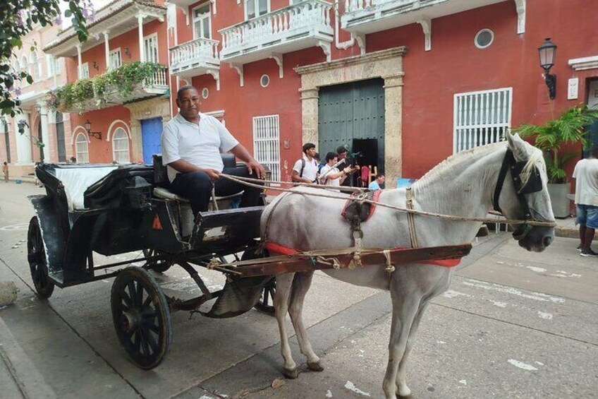 Colonial Carriage with Private Horse through the Ancient City 