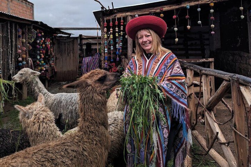 From Ollantaytambo & Urubamba: Sacred Valley Day tour with Lunch