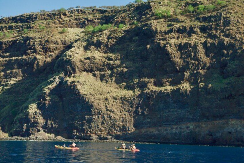 Morning Magic Kayak and Snorkel Adventure in Kealakekua Bay