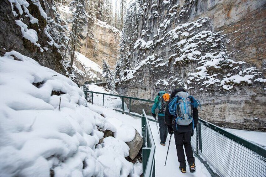 Lake Louise Johnston Canyon Peyto Lake Icefields Parkway Daytrip