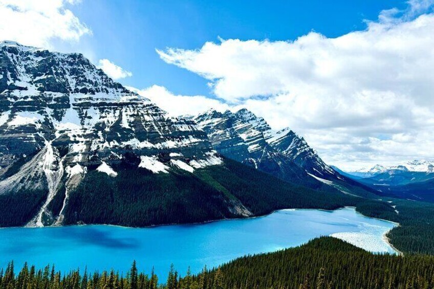 Lake Louise Johnston Canyon Peyto Lake Icefields Parkway Daytrip
