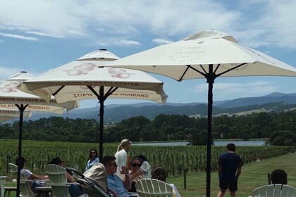 Yering Winery + LV Chandon Winery + Puffing Billy Steam Train