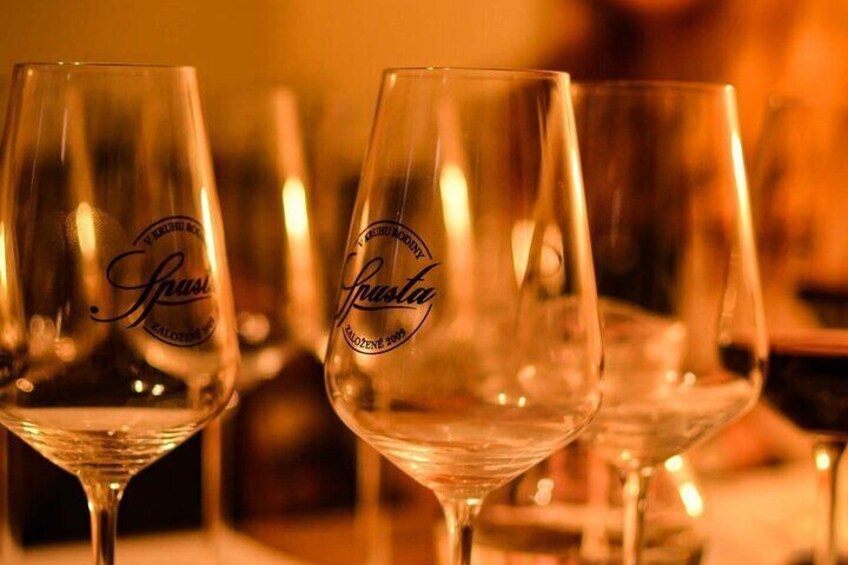 Bratislava Wine Tasting in City Center