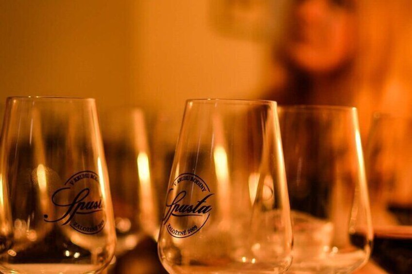 Bratislava Wine Tasting in City Center