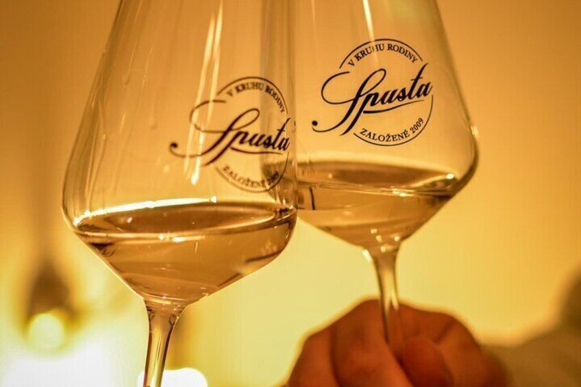Bratislava Wine Tasting in City Center