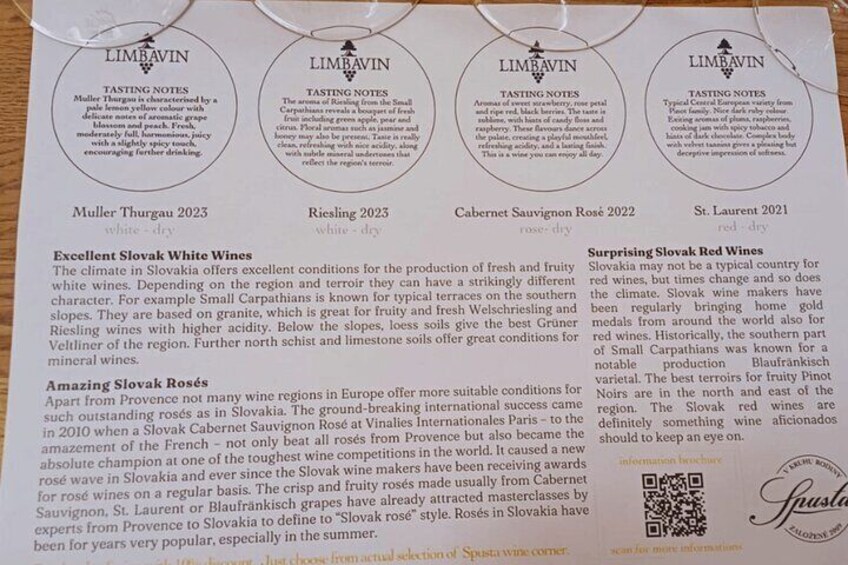 Bratislava Wine Tasting in City Center