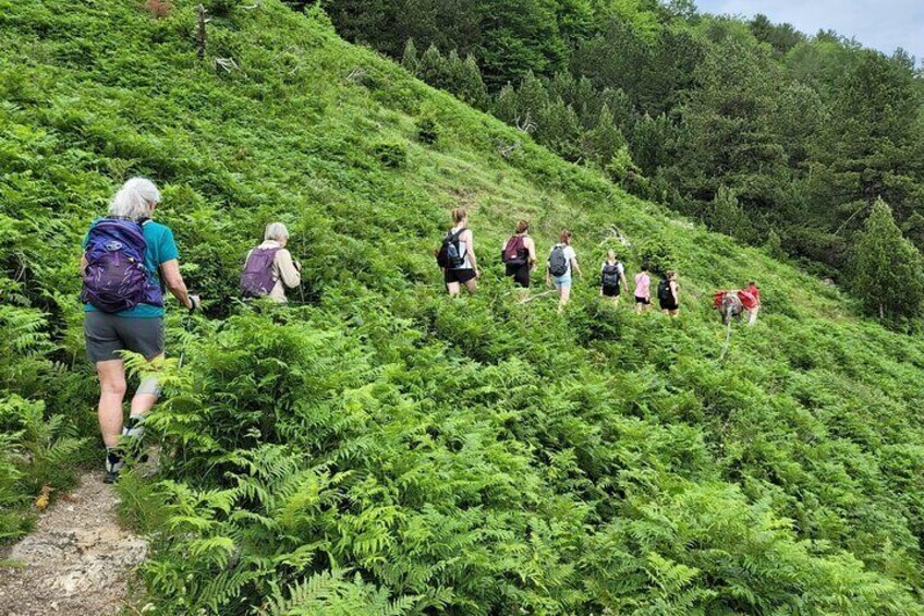 Hiking in Tomor Berat