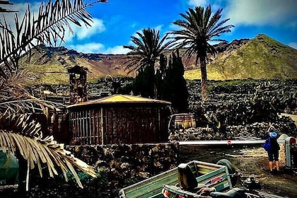 Walk the Hometown of Cesar Manrique Haria Lanzarote Gem