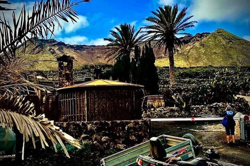 Walk the Hometown of Cesar Manrique Haria Lanzarote Gem