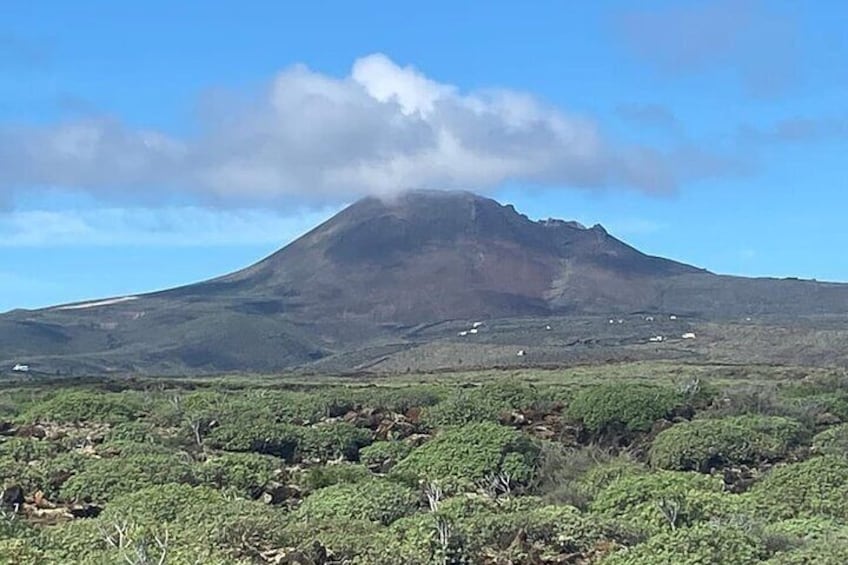 Walk the Hometown of Cesar Manrique Haria Lanzarote Gem