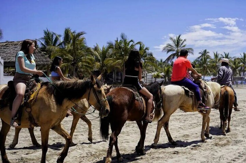 All Inclusive Beach Club with Sports Food and Beverages