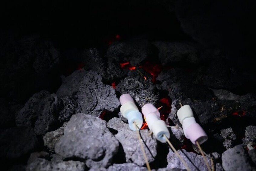 Private Tour Pacaya Volcano