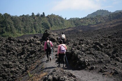 Private Tour Pacaya Volcano