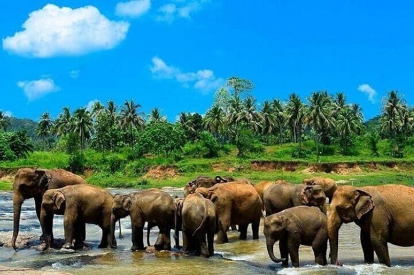 Sri Lanka Experience for 12 days