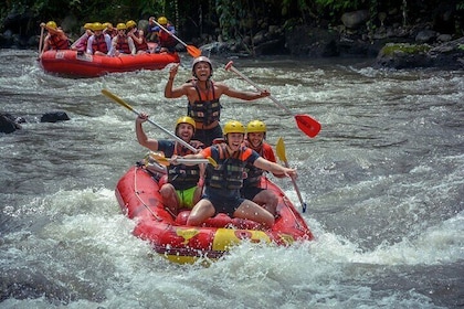 Ayung River Rafting Bali Ultimate Rafting Challenge