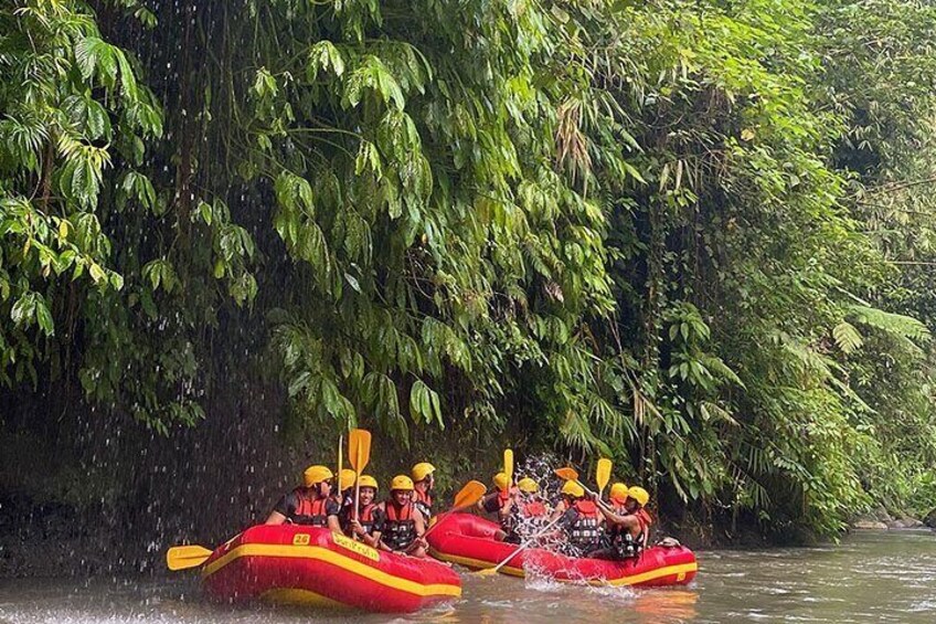 Ayung River Rafting Bali Ultimate Rafting Challenge