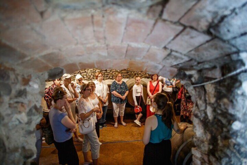 Valeggio: Sorsi d’Estate-3 young wines with guided tour