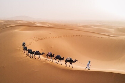 Exclusive Desert Adventure: Marrakech to Fes in 3 Days