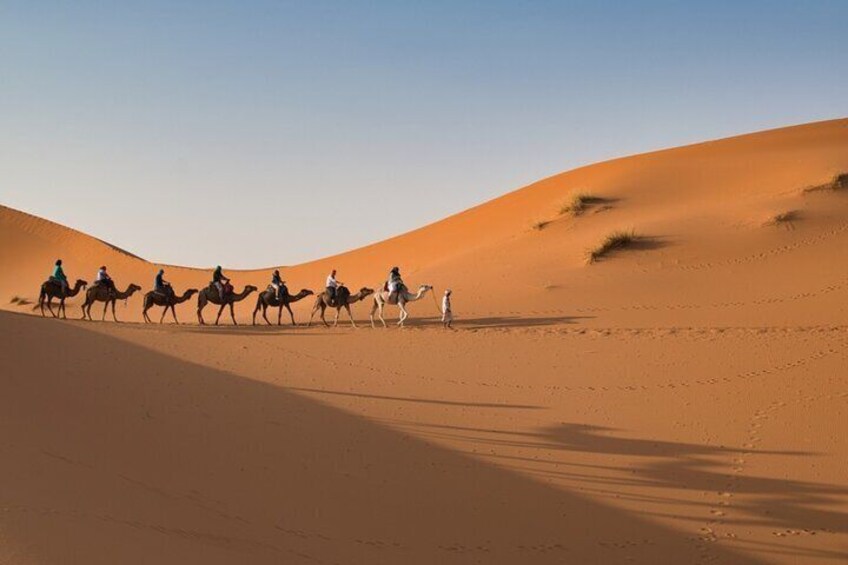 5-Day Private Desert Tour from Marrakech