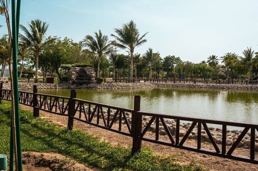 Guided Tour in Yanbu The City of Springs