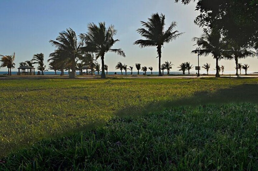 Guided Tour in Yanbu The City of Springs