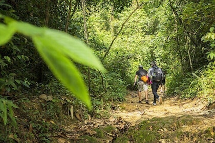 Phuket Jungle Trekking Experience i Khao Phra Taew National Park
