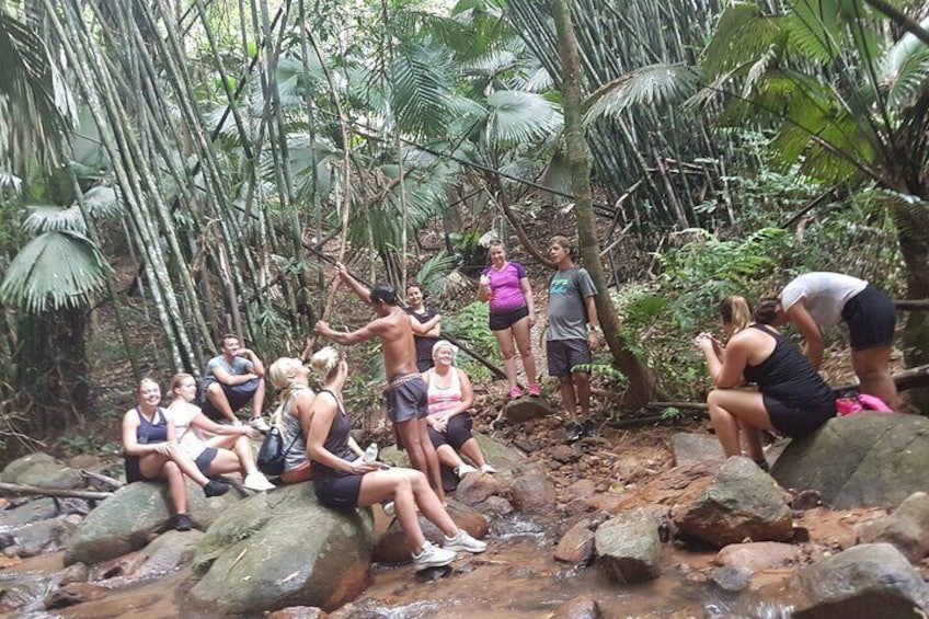 Phuket Jungle Trekking Experience at Khao Phra Taew National Park