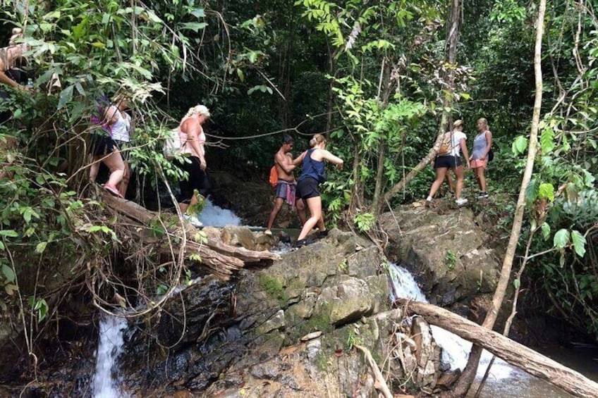 Phuket Jungle Trekking Experience at Khao Phra Taew National Park