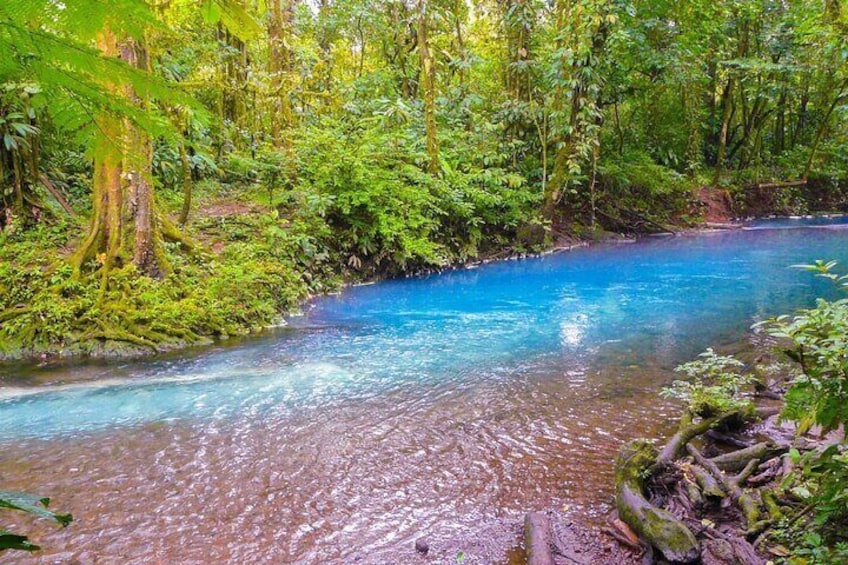 Rio Celeste Tubing Adventure