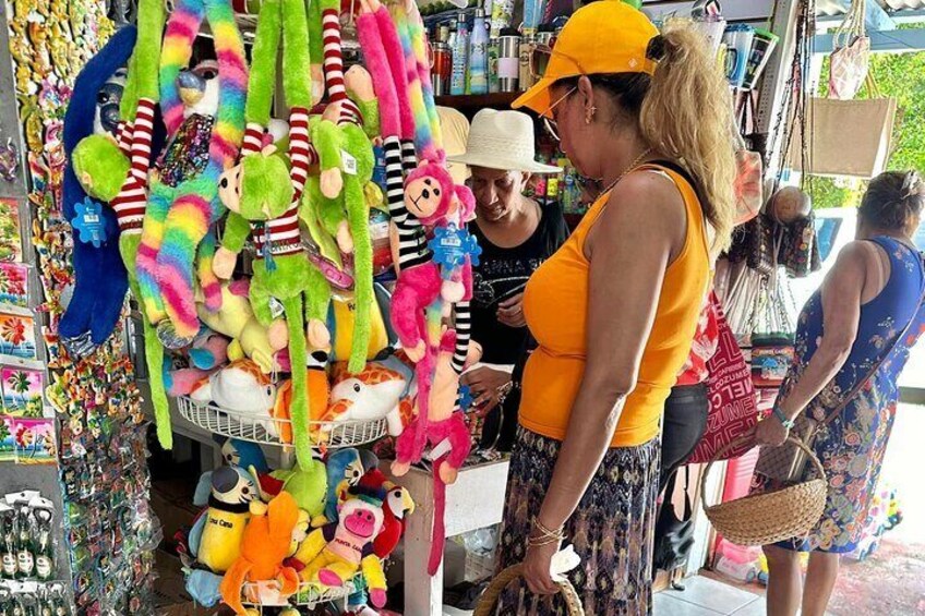 Tour of Souvenirs, Shopping in Punta Cana with Transportation Included