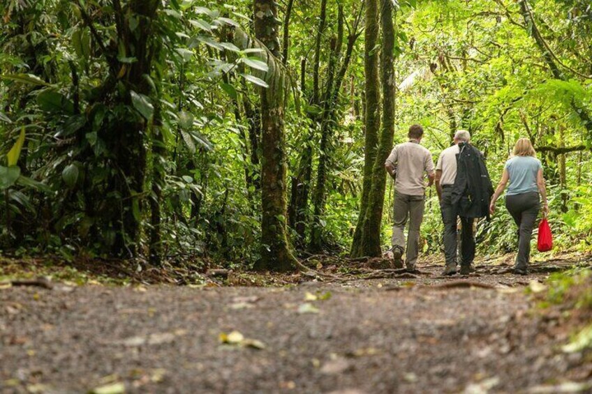 Rio Celeste Waterfall and Tenorio Volcano National Park Tour