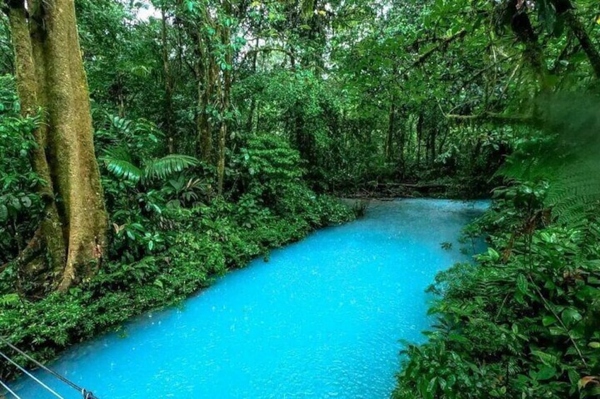 Rio Celeste Waterfall and Tenorio Volcano National Park Tour