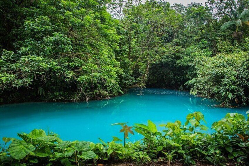 Rio Celeste Waterfall and Tenorio Volcano National Park Tour