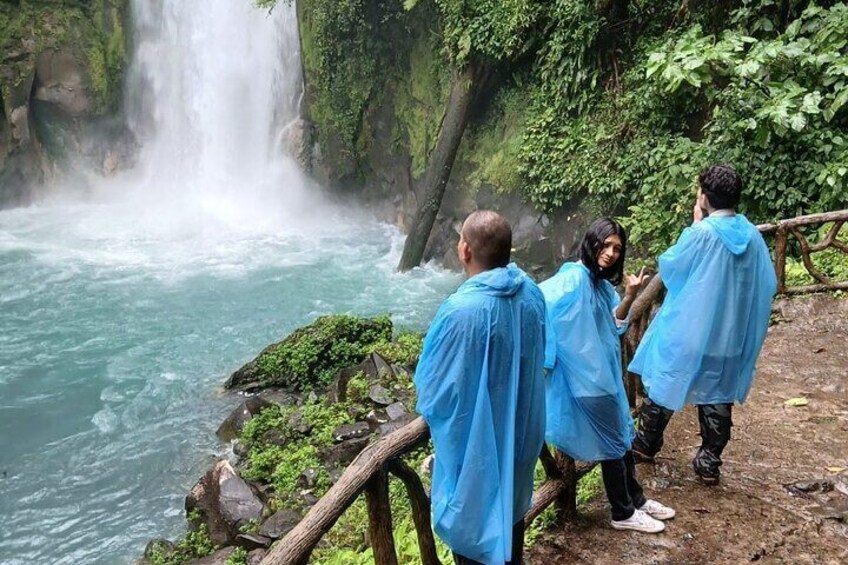 Rio Celeste Waterfall and Tenorio Volcano National Park Tour