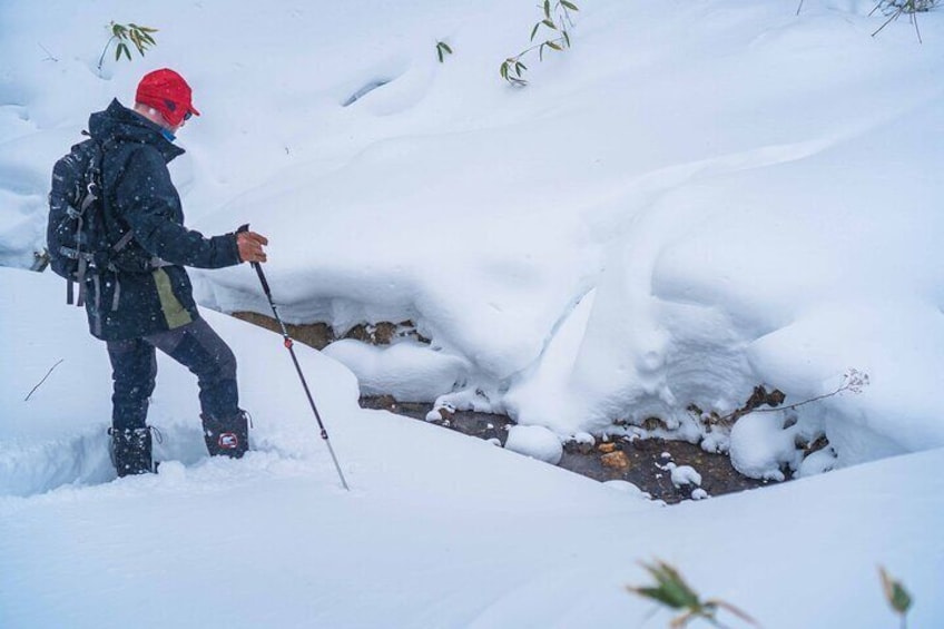 Bamboo Ice Cave Snowshoeing Tour in Noboribetsu