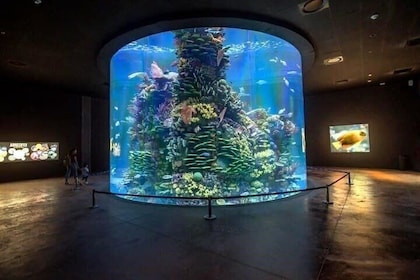 Mazatlan Tour Aquarium and Observatory 1873