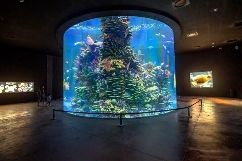 Mazatlan Tour Aquarium and Observatory 1873