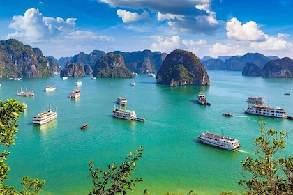 2 days and 1 Night Halong Bay Cruise Tour from Hanoi