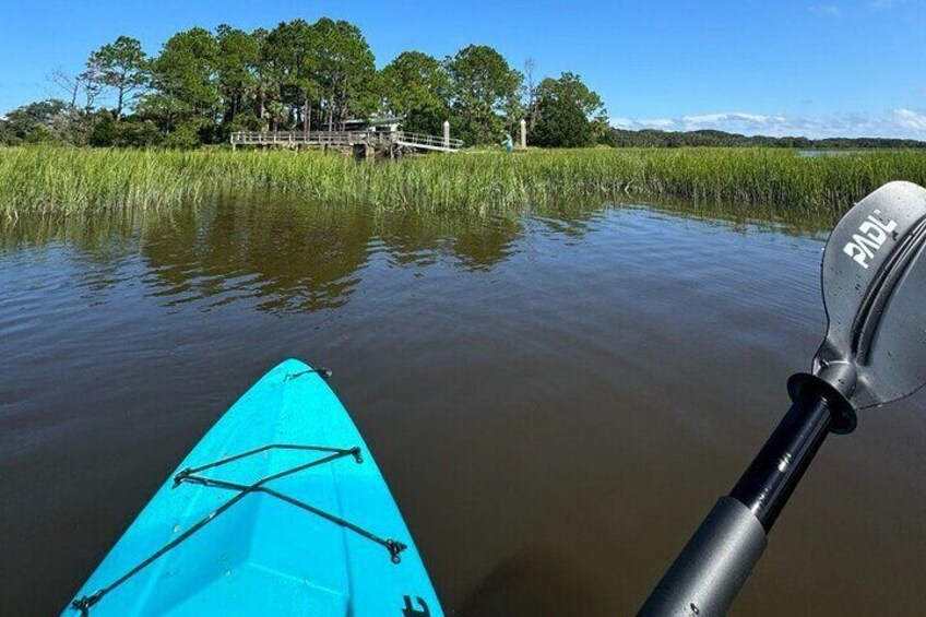 Amelia Salt Marsh Paddle in Talbot Islands State Park